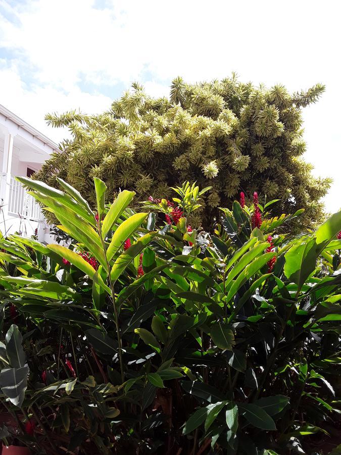 Apartmán Les Jardins De Valentin Le Gosier  Exteriér fotografie