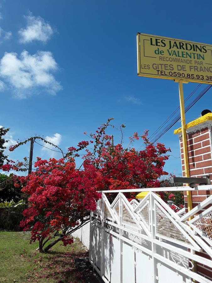 Apartmán Les Jardins De Valentin Le Gosier  Exteriér fotografie